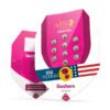 Gushers Feminized Seeds