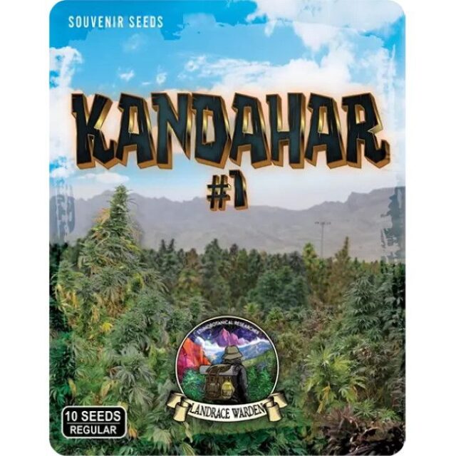Kandahar Arghandab #1 Regular Seeds