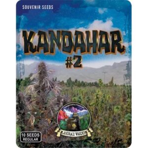 Kandahar Arghandab #2 Regular Seeds
