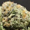 Latte Lato Feminized Seeds
