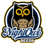 Night Owl Seeds Logo