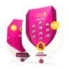 Buy Royal Cheese FAST Version Feminized Seeds by Royal Queen Seeds in America - Image 3
