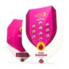 Buy Royal Domina Feminized Seeds by Royal Queen Seeds in America - Image 3