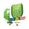 Buy Royal Runtz Auto Feminized Seeds by Royal Queen Seeds in America - Image 3