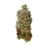 Buy Royal Skywalker Feminized Seeds by Royal Queen Seeds in America - Image 2