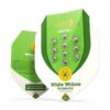 Buy White Widow Auto Feminized Seeds by Royal Queen Seeds in America - Image 3