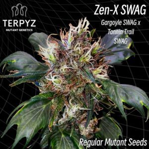 Zen-X Swag Regular Seeds