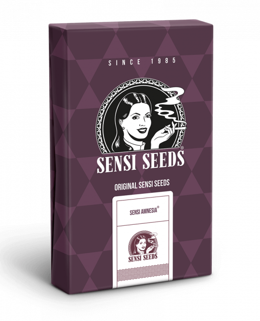 Sensi Amnesia Feminized Seeds
