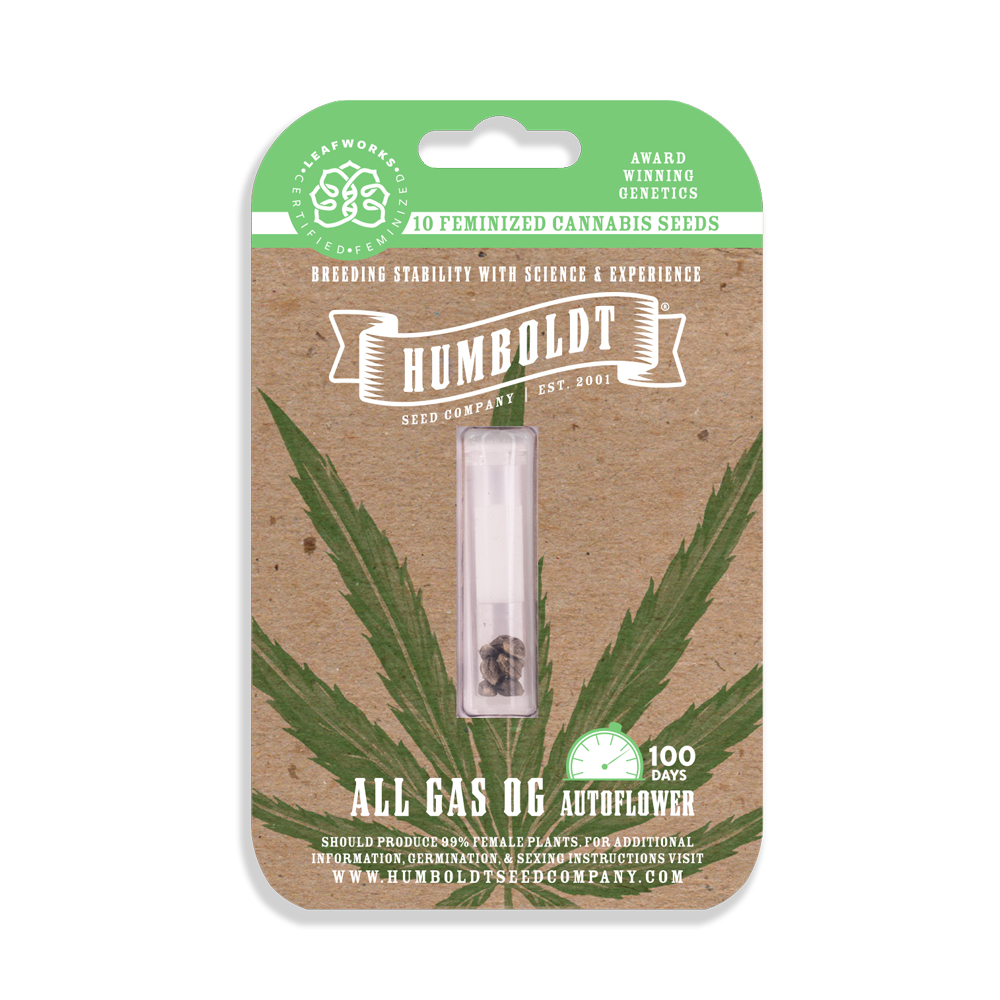 All Gas OG Auto Feminized Seeds