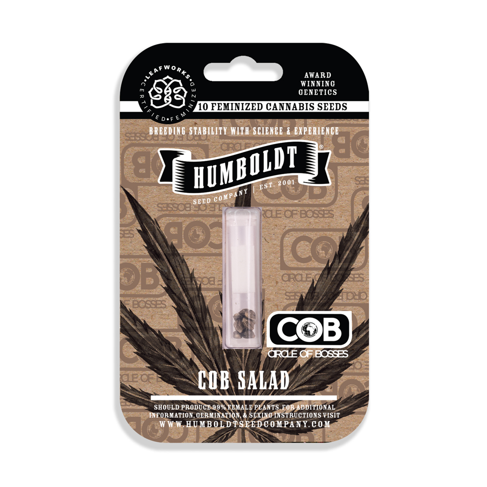 COB Salad Feminized Seeds