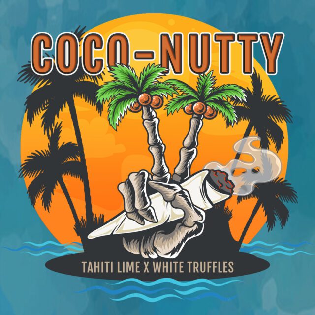 Coco-Nutty Feminized Seeds