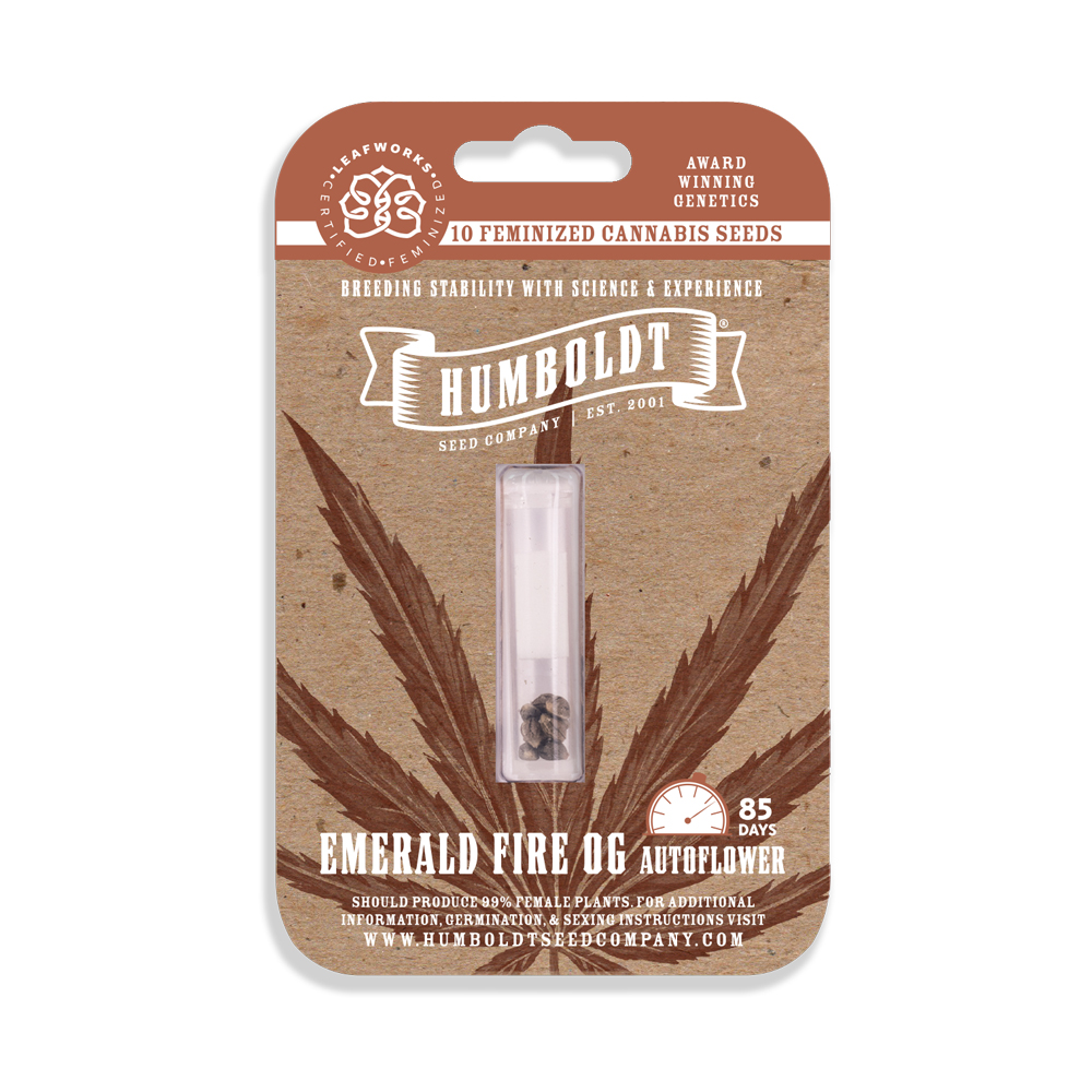 Emerald Fire OG Auto Feminized Seeds