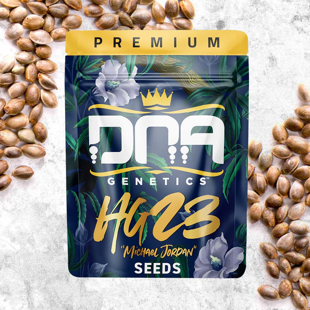 HG23 Aka Michael Jordan Regular Seeds