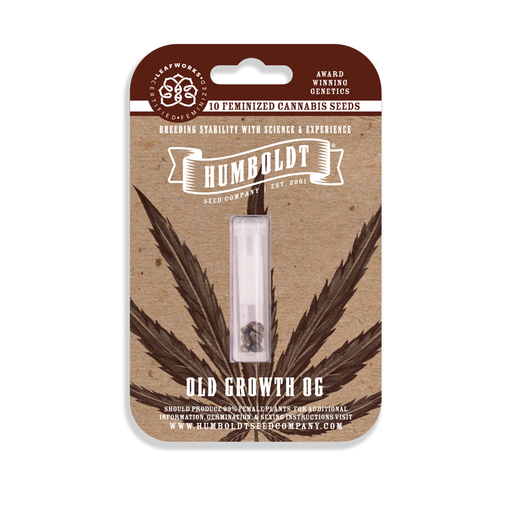 Old Growth OG Feminized Seeds