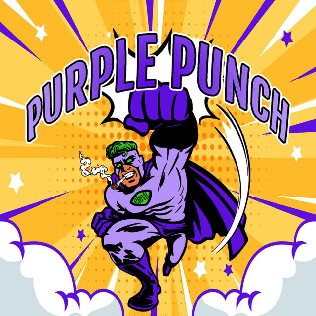 Purple Punch S1 Feminized Seeds