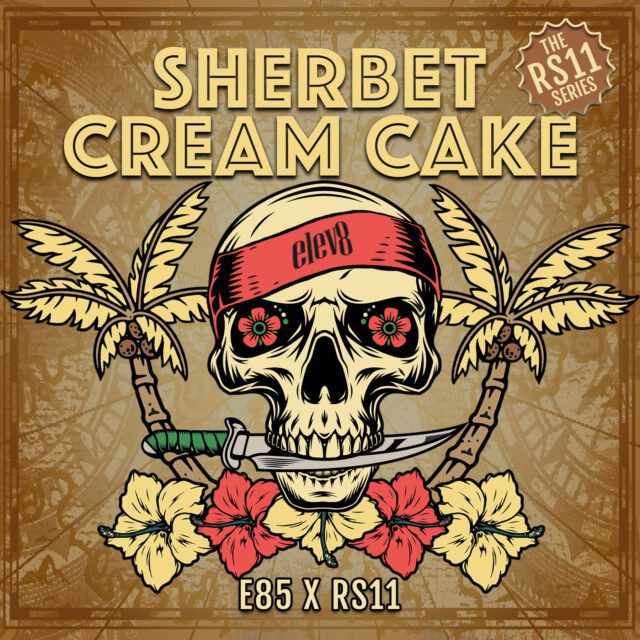 Sherbet Cream Cake Feminized Seeds