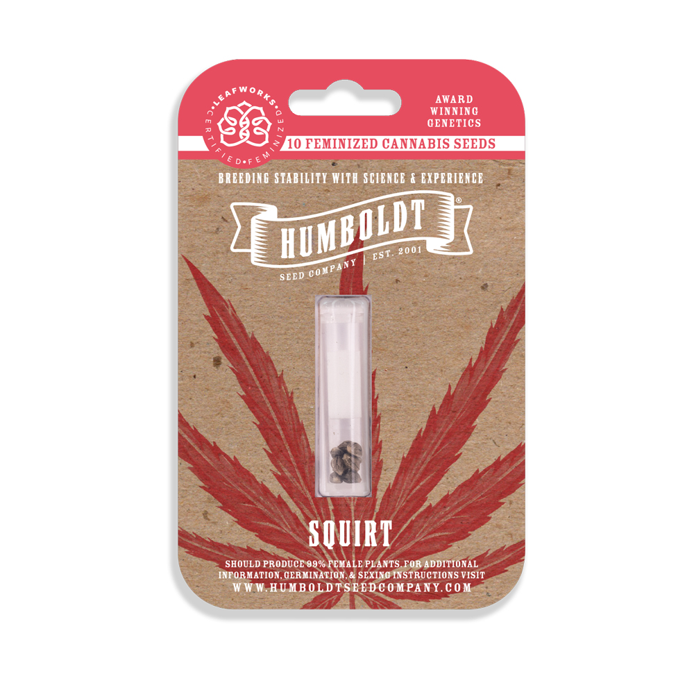 Squirt Feminized Seeds