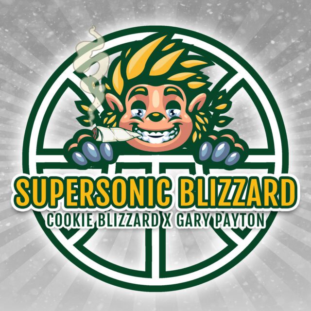 Supersonic Blizzard Feminized Seeds