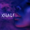 Xhale Feminized Seeds