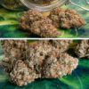 Melonade Runtz Auto Feminized Seeds