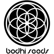 Bodhi Seeds Logo