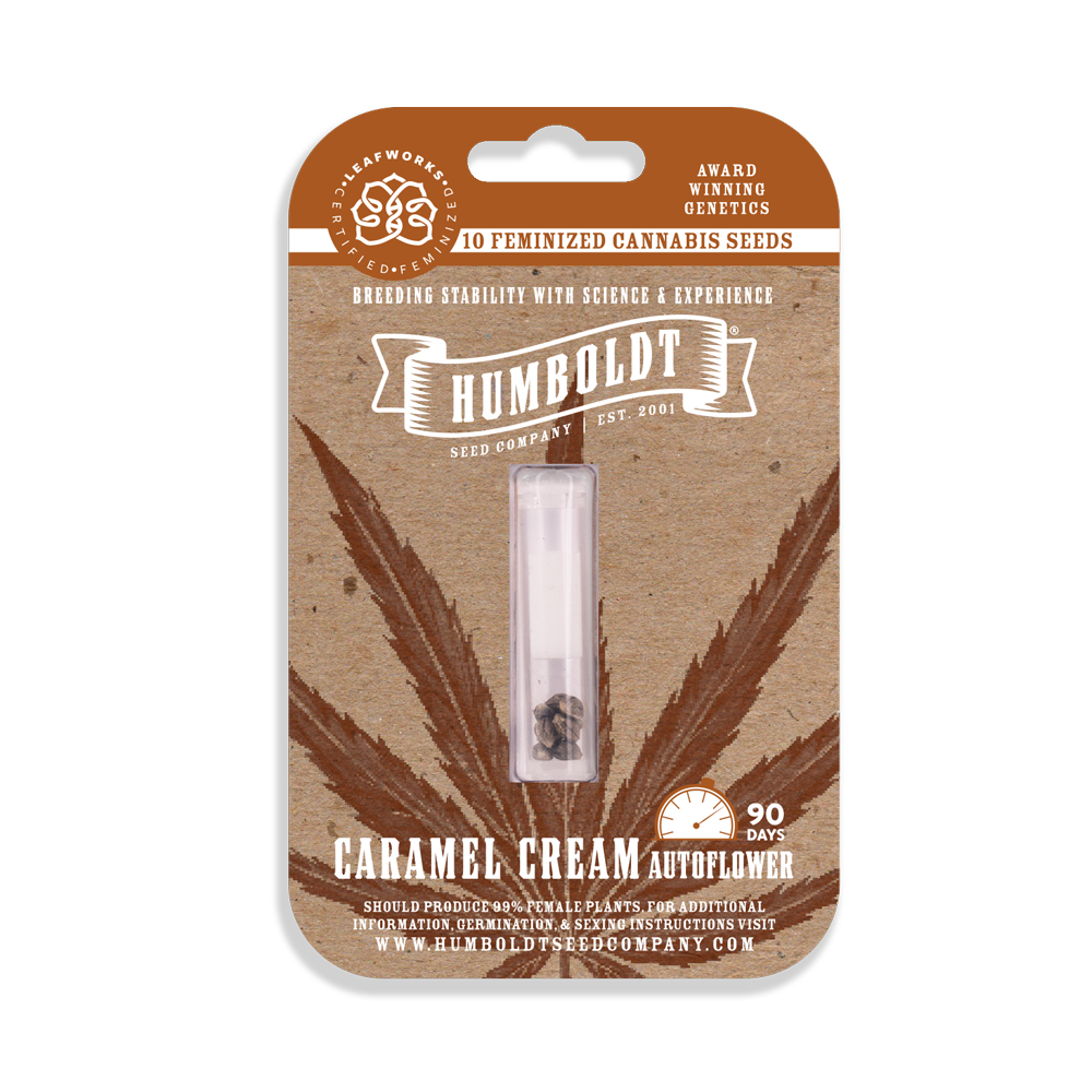 Caramel Cream Auto Feminized Seeds