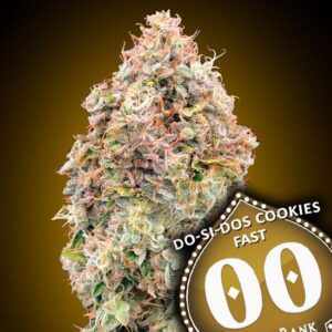 Do-Si-Dos Cookies FAST Feminized Seeds