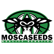 Mosca Seeds Logo