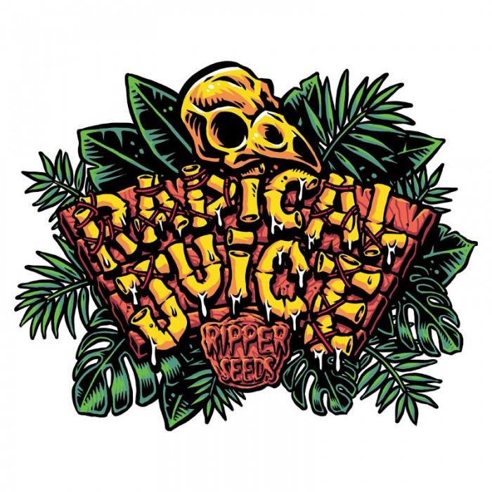 Radical Juice Auto Feminized Seeds