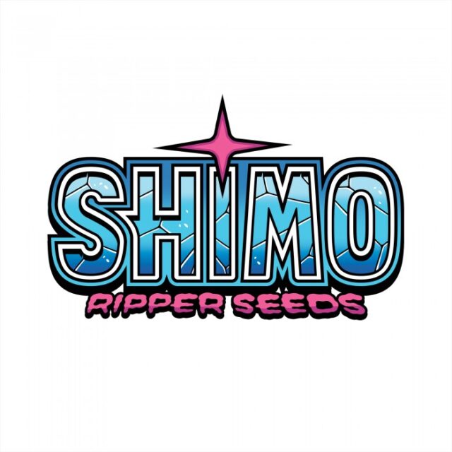 Shimo Feminized Seeds