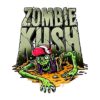 Zombie Kush Feminized Seeds