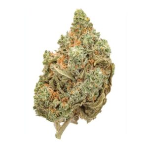 Amnesia Lemon Feminized Seeds