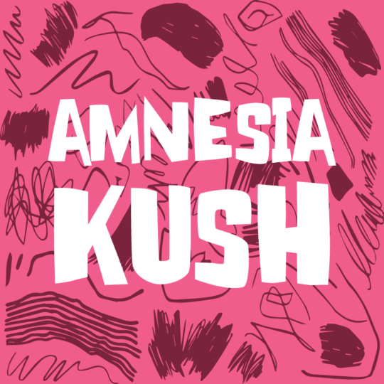 Amnesia Kush Autoflower Seeds