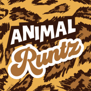 Animal Runtz Feminized Seeds