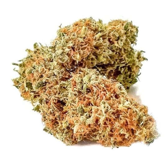 Buy Banana Kush Autoflower Seeds by Supreme Genetics in America ...