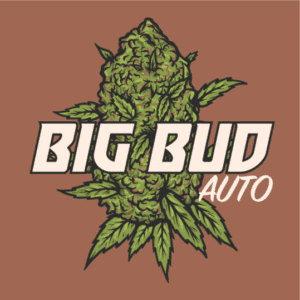 Big Bud Autoflower Seeds