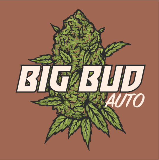 Big Bud Autoflower Seeds