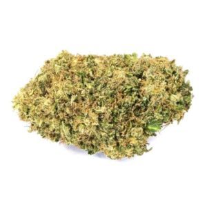 CBD Black Diesel Feminized Seeds