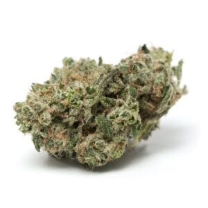 Blue OG Feminized Seeds