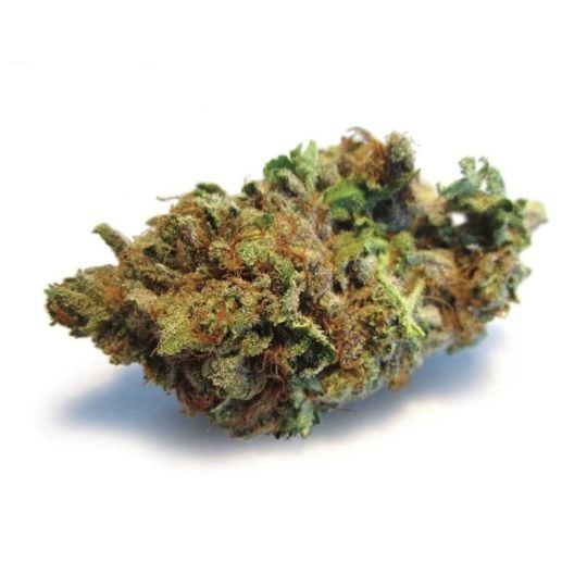 Candy Kush Feminized Seeds