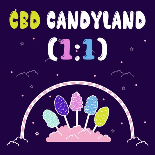 CBD Candyland (1:1) Feminized Seeds