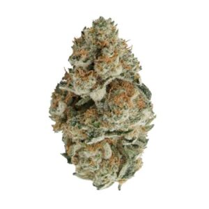 CBD Candyland (1:1) Feminized Seeds