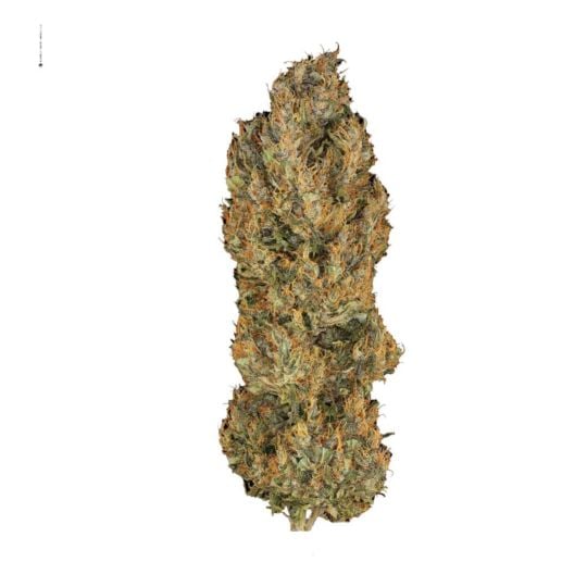 CBD Cheese Feminized Seeds