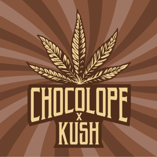 Chocolope x Kush Feminized Seeds