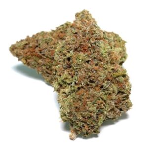 Cinderella 99 Feminized Seeds