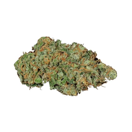 Cinderella 99 x Tangilope Feminized Seeds