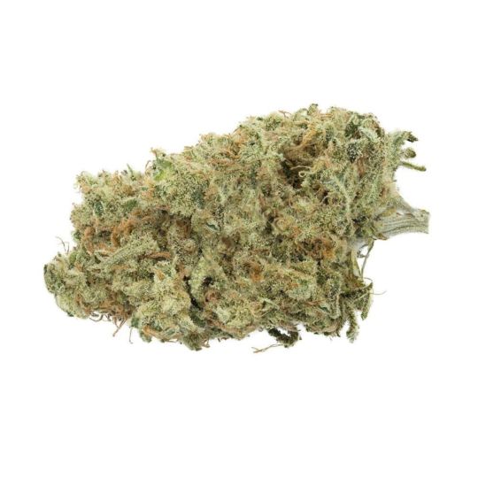 Cinderella 99 x Taskenti Feminized Seeds