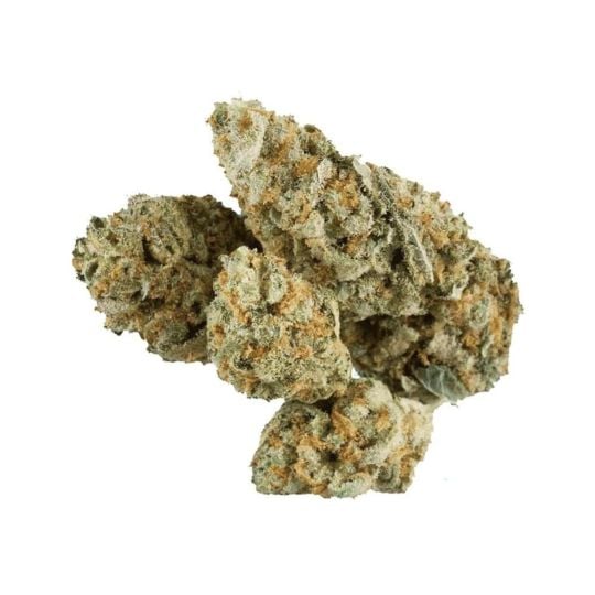 Critical x Green Crack Feminized Seeds