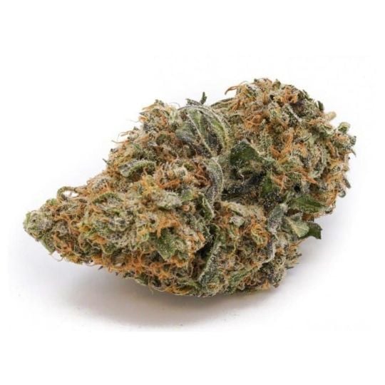 Durban Poison Feminized Seeds