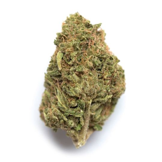 Gorilla Lemon Fire Feminized Seeds